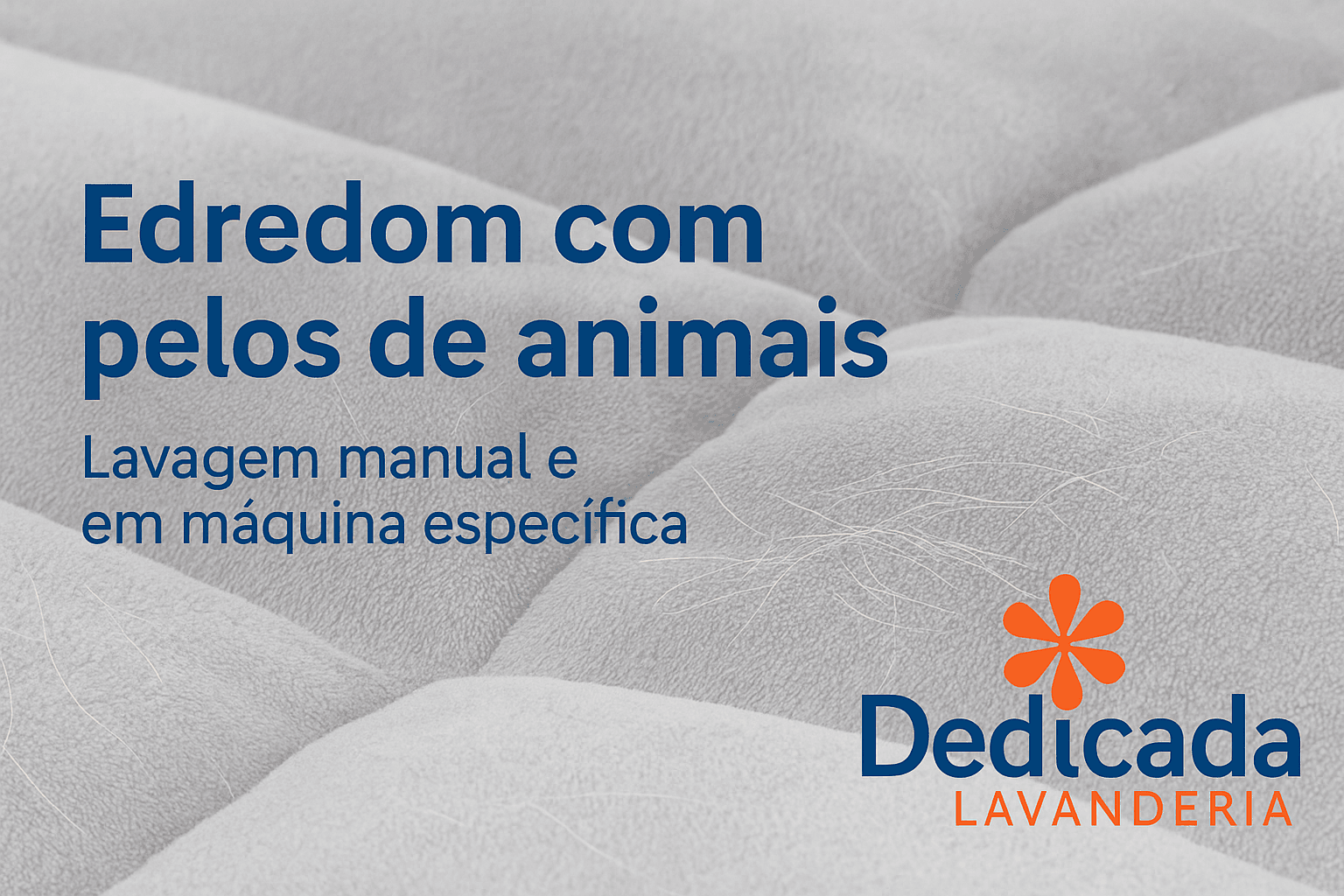 Lavanderia Florianópolis Edredom com Pelo de Animais