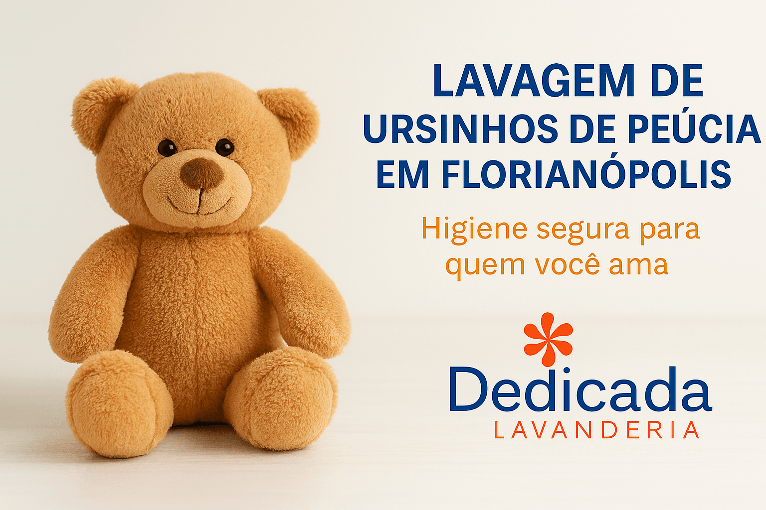 Lavanderia Florianópolis Lavagem Ursinho Pelúcia