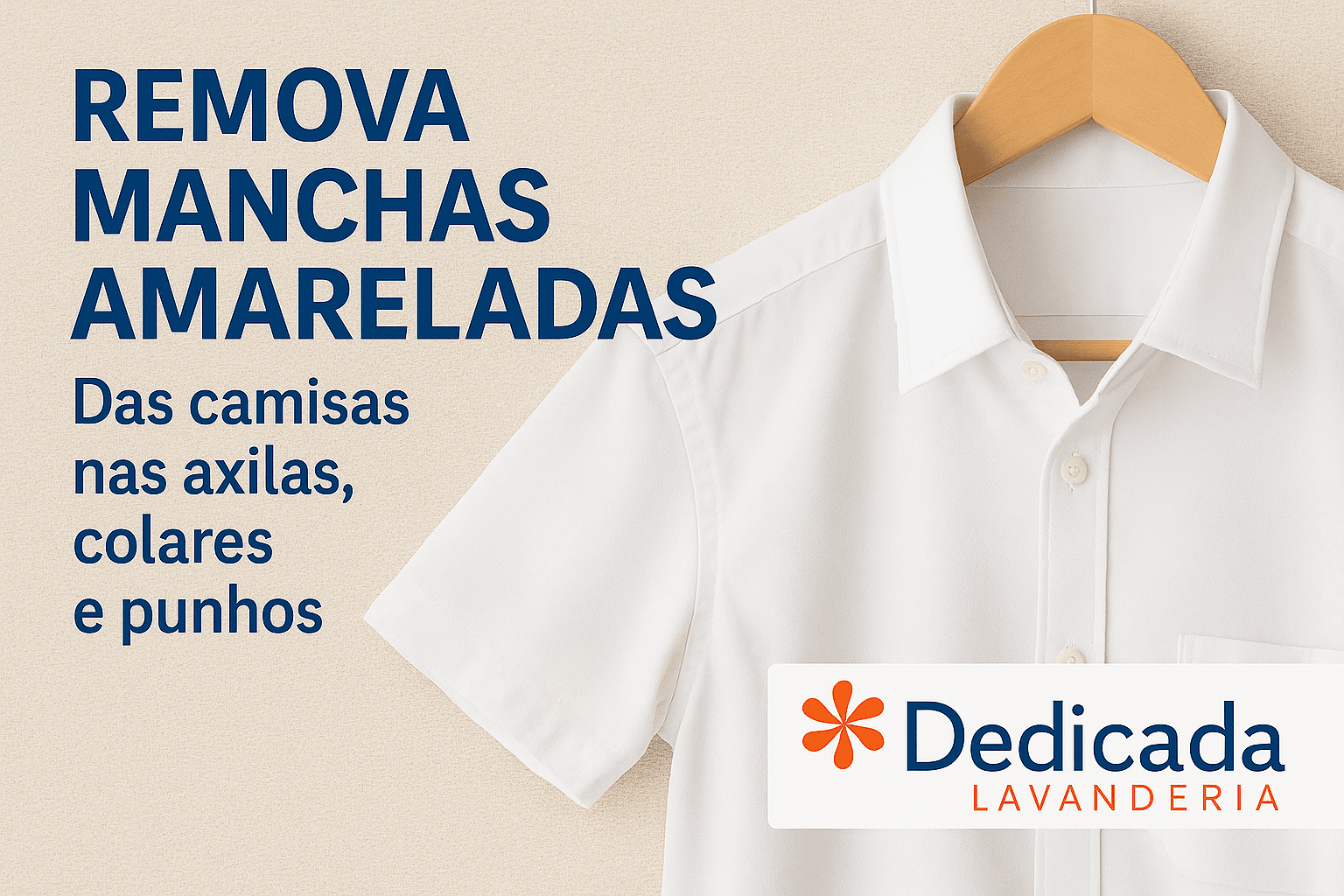 Lavanderia Florianópolis Remover Manchas Amareladas Axilas Colares e Punhos