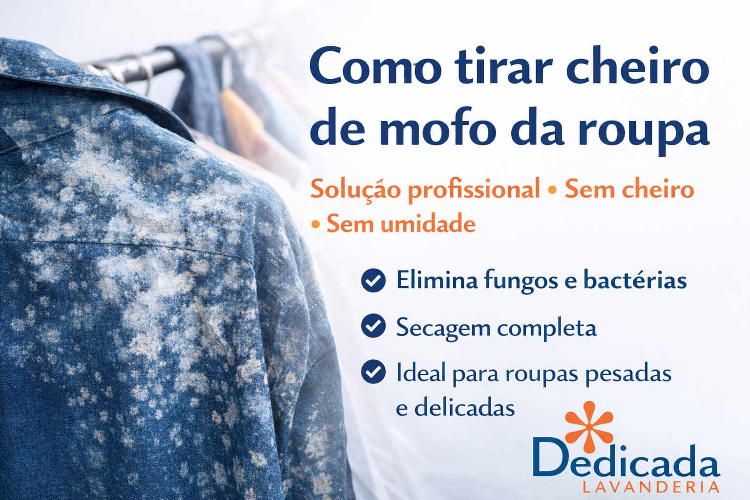 Lavanderia Florianópolis Como Retirar Mofo das Roupas