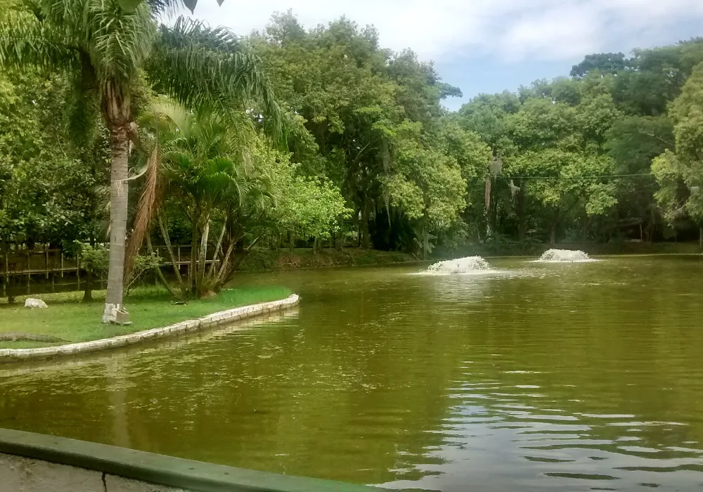 O lago do Parque Ecológico do Córrego Grande, em Florianópolis