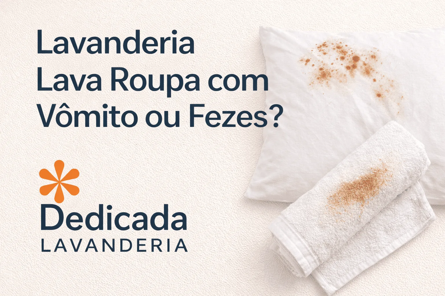 Lavanderia Florianópolis Roupa Vômito