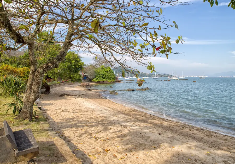 A orla de Sambaqui, com árvores e um banco junto à areia e a baía ao lado, em Florianópolis